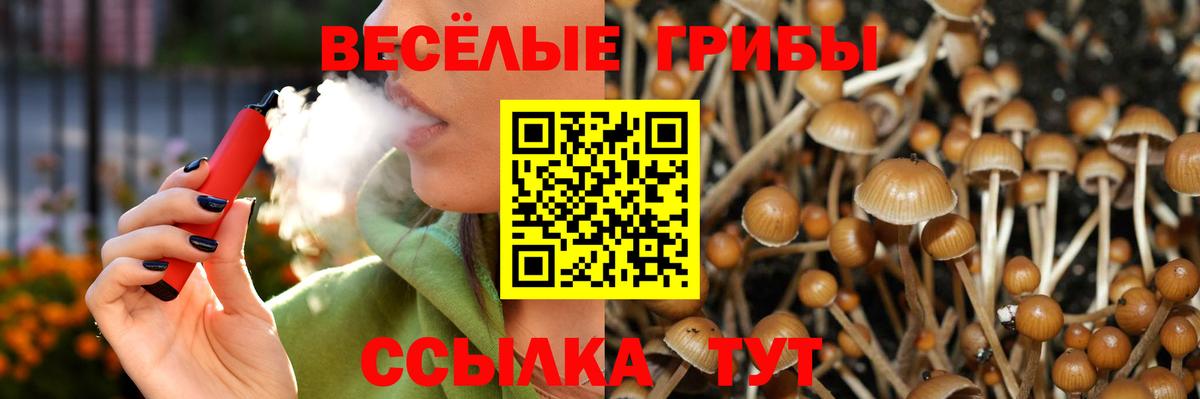 Псилоцибиновые грибы прущие грибы Белореченск